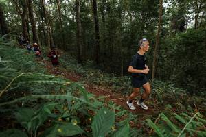 BIB: 
                            <button type="button" onclick="openModal(22582372)" class="btn btn-primary btn-sm float-right btn-popup" data-toggle="modal" data-target=".modal-high-quality">
                        <i class="fas fa-shopping-cart"></i> Add to Cart
                    </button>
                                            <button type="button" onclick="isThisMe(22582372, true)" class="btn btn-success btn-sm float-right btn-popup btn-isme hidden" data-toggle="tooltip" data-placement="bottom" title="นี่คือรูปของคุณใช่ไหม คลิกที่นี่เพื่อเอาเข้าอัลบั้ม">
                        <i class="fas fa-plus"></i> Add to album
                    </button>
                    <button type="button" onclick="isThisMe(22582372, false)" class="btn btn-warning btn-sm float-right btn-popup btn-isnotme hidden">
                        <i class="fas fa-ban"></i> Remove from album
                    </button>