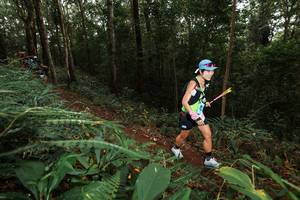 BIB: 
                            <button type="button" onclick="openModal(22533272)" class="btn btn-primary btn-sm float-right btn-popup" data-toggle="modal" data-target=".modal-high-quality">
                        <i class="fas fa-shopping-cart"></i> Add to Cart
                    </button>
                                            <button type="button" onclick="isThisMe(22533272, true)" class="btn btn-success btn-sm float-right btn-popup btn-isme hidden" data-toggle="tooltip" data-placement="bottom" title="นี่คือรูปของคุณใช่ไหม คลิกที่นี่เพื่อเอาเข้าอัลบั้ม">
                        <i class="fas fa-plus"></i> Add to album
                    </button>
                    <button type="button" onclick="isThisMe(22533272, false)" class="btn btn-warning btn-sm float-right btn-popup btn-isnotme hidden">
                        <i class="fas fa-ban"></i> Remove from album
                    </button>