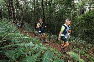 BIB: 
                            <button type="button" onclick="openModal(22543062)" class="btn btn-primary btn-sm float-right btn-popup" data-toggle="modal" data-target=".modal-high-quality">
                        <i class="fas fa-shopping-cart"></i> Add to Cart
                    </button>
                                            <button type="button" onclick="isThisMe(22543062, true)" class="btn btn-success btn-sm float-right btn-popup btn-isme hidden" data-toggle="tooltip" data-placement="bottom" title="นี่คือรูปของคุณใช่ไหม คลิกที่นี่เพื่อเอาเข้าอัลบั้ม">
                        <i class="fas fa-plus"></i> Add to album
                    </button>
                    <button type="button" onclick="isThisMe(22543062, false)" class="btn btn-warning btn-sm float-right btn-popup btn-isnotme hidden">
                        <i class="fas fa-ban"></i> Remove from album
                    </button>