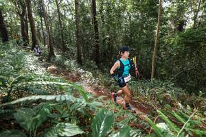 BIB: 
                            <button type="button" onclick="openModal(22561241)" class="btn btn-primary btn-sm float-right btn-popup" data-toggle="modal" data-target=".modal-high-quality">
                        <i class="fas fa-shopping-cart"></i> Add to Cart
                    </button>
                                            <button type="button" onclick="isThisMe(22561241, true)" class="btn btn-success btn-sm float-right btn-popup btn-isme hidden" data-toggle="tooltip" data-placement="bottom" title="นี่คือรูปของคุณใช่ไหม คลิกที่นี่เพื่อเอาเข้าอัลบั้ม">
                        <i class="fas fa-plus"></i> Add to album
                    </button>
                    <button type="button" onclick="isThisMe(22561241, false)" class="btn btn-warning btn-sm float-right btn-popup btn-isnotme hidden">
                        <i class="fas fa-ban"></i> Remove from album
                    </button>