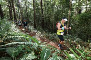 BIB: 
                            <button type="button" onclick="openModal(22563312)" class="btn btn-primary btn-sm float-right btn-popup" data-toggle="modal" data-target=".modal-high-quality">
                        <i class="fas fa-shopping-cart"></i> Add to Cart
                    </button>
                                            <button type="button" onclick="isThisMe(22563312, true)" class="btn btn-success btn-sm float-right btn-popup btn-isme hidden" data-toggle="tooltip" data-placement="bottom" title="นี่คือรูปของคุณใช่ไหม คลิกที่นี่เพื่อเอาเข้าอัลบั้ม">
                        <i class="fas fa-plus"></i> Add to album
                    </button>
                    <button type="button" onclick="isThisMe(22563312, false)" class="btn btn-warning btn-sm float-right btn-popup btn-isnotme hidden">
                        <i class="fas fa-ban"></i> Remove from album
                    </button>