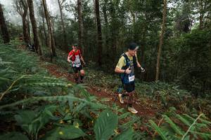 BIB: 
                            <button type="button" onclick="openModal(22571584)" class="btn btn-primary btn-sm float-right btn-popup" data-toggle="modal" data-target=".modal-high-quality">
                        <i class="fas fa-shopping-cart"></i> Add to Cart
                    </button>
                                            <button type="button" onclick="isThisMe(22571584, true)" class="btn btn-success btn-sm float-right btn-popup btn-isme hidden" data-toggle="tooltip" data-placement="bottom" title="นี่คือรูปของคุณใช่ไหม คลิกที่นี่เพื่อเอาเข้าอัลบั้ม">
                        <i class="fas fa-plus"></i> Add to album
                    </button>
                    <button type="button" onclick="isThisMe(22571584, false)" class="btn btn-warning btn-sm float-right btn-popup btn-isnotme hidden">
                        <i class="fas fa-ban"></i> Remove from album
                    </button>