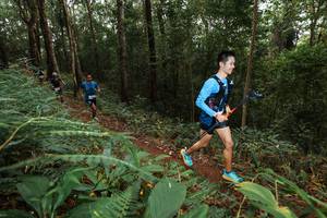 BIB: 
                            <button type="button" onclick="openModal(22533394)" class="btn btn-primary btn-sm float-right btn-popup" data-toggle="modal" data-target=".modal-high-quality">
                        <i class="fas fa-shopping-cart"></i> Add to Cart
                    </button>
                                            <button type="button" onclick="isThisMe(22533394, true)" class="btn btn-success btn-sm float-right btn-popup btn-isme hidden" data-toggle="tooltip" data-placement="bottom" title="นี่คือรูปของคุณใช่ไหม คลิกที่นี่เพื่อเอาเข้าอัลบั้ม">
                        <i class="fas fa-plus"></i> Add to album
                    </button>
                    <button type="button" onclick="isThisMe(22533394, false)" class="btn btn-warning btn-sm float-right btn-popup btn-isnotme hidden">
                        <i class="fas fa-ban"></i> Remove from album
                    </button>