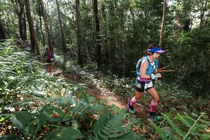 BIB: 
                            <button type="button" onclick="openModal(22546074)" class="btn btn-primary btn-sm float-right btn-popup" data-toggle="modal" data-target=".modal-high-quality">
                        <i class="fas fa-shopping-cart"></i> Add to Cart
                    </button>
                                            <button type="button" onclick="isThisMe(22546074, true)" class="btn btn-success btn-sm float-right btn-popup btn-isme hidden" data-toggle="tooltip" data-placement="bottom" title="นี่คือรูปของคุณใช่ไหม คลิกที่นี่เพื่อเอาเข้าอัลบั้ม">
                        <i class="fas fa-plus"></i> Add to album
                    </button>
                    <button type="button" onclick="isThisMe(22546074, false)" class="btn btn-warning btn-sm float-right btn-popup btn-isnotme hidden">
                        <i class="fas fa-ban"></i> Remove from album
                    </button>