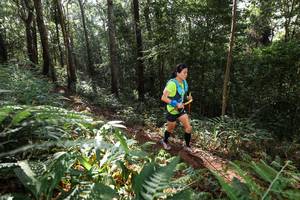 BIB: 
                            <button type="button" onclick="openModal(22544263)" class="btn btn-primary btn-sm float-right btn-popup" data-toggle="modal" data-target=".modal-high-quality">
                        <i class="fas fa-shopping-cart"></i> Add to Cart
                    </button>
                                            <button type="button" onclick="isThisMe(22544263, true)" class="btn btn-success btn-sm float-right btn-popup btn-isme hidden" data-toggle="tooltip" data-placement="bottom" title="นี่คือรูปของคุณใช่ไหม คลิกที่นี่เพื่อเอาเข้าอัลบั้ม">
                        <i class="fas fa-plus"></i> Add to album
                    </button>
                    <button type="button" onclick="isThisMe(22544263, false)" class="btn btn-warning btn-sm float-right btn-popup btn-isnotme hidden">
                        <i class="fas fa-ban"></i> Remove from album
                    </button>