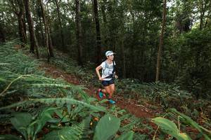 BIB: 
                            <button type="button" onclick="openModal(22536802)" class="btn btn-primary btn-sm float-right btn-popup" data-toggle="modal" data-target=".modal-high-quality">
                        <i class="fas fa-shopping-cart"></i> Add to Cart
                    </button>
                                            <button type="button" onclick="isThisMe(22536802, true)" class="btn btn-success btn-sm float-right btn-popup btn-isme hidden" data-toggle="tooltip" data-placement="bottom" title="นี่คือรูปของคุณใช่ไหม คลิกที่นี่เพื่อเอาเข้าอัลบั้ม">
                        <i class="fas fa-plus"></i> Add to album
                    </button>
                    <button type="button" onclick="isThisMe(22536802, false)" class="btn btn-warning btn-sm float-right btn-popup btn-isnotme hidden">
                        <i class="fas fa-ban"></i> Remove from album
                    </button>