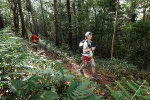 BIB: 
                            <button type="button" onclick="openModal(22545925)" class="btn btn-primary btn-sm float-right btn-popup" data-toggle="modal" data-target=".modal-high-quality">
                        <i class="fas fa-shopping-cart"></i> Add to Cart
                    </button>
                                            <button type="button" onclick="isThisMe(22545925, true)" class="btn btn-success btn-sm float-right btn-popup btn-isme hidden" data-toggle="tooltip" data-placement="bottom" title="นี่คือรูปของคุณใช่ไหม คลิกที่นี่เพื่อเอาเข้าอัลบั้ม">
                        <i class="fas fa-plus"></i> Add to album
                    </button>
                    <button type="button" onclick="isThisMe(22545925, false)" class="btn btn-warning btn-sm float-right btn-popup btn-isnotme hidden">
                        <i class="fas fa-ban"></i> Remove from album
                    </button>