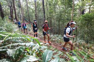 BIB: 
                            <button type="button" onclick="openModal(22565671)" class="btn btn-primary btn-sm float-right btn-popup" data-toggle="modal" data-target=".modal-high-quality">
                        <i class="fas fa-shopping-cart"></i> Add to Cart
                    </button>
                                            <button type="button" onclick="isThisMe(22565671, true)" class="btn btn-success btn-sm float-right btn-popup btn-isme hidden" data-toggle="tooltip" data-placement="bottom" title="นี่คือรูปของคุณใช่ไหม คลิกที่นี่เพื่อเอาเข้าอัลบั้ม">
                        <i class="fas fa-plus"></i> Add to album
                    </button>
                    <button type="button" onclick="isThisMe(22565671, false)" class="btn btn-warning btn-sm float-right btn-popup btn-isnotme hidden">
                        <i class="fas fa-ban"></i> Remove from album
                    </button>