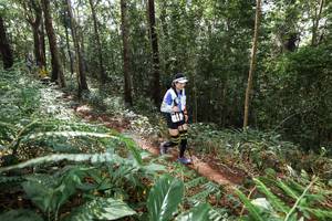 BIB: 
                            <button type="button" onclick="openModal(22561266)" class="btn btn-primary btn-sm float-right btn-popup" data-toggle="modal" data-target=".modal-high-quality">
                        <i class="fas fa-shopping-cart"></i> Add to Cart
                    </button>
                                            <button type="button" onclick="isThisMe(22561266, true)" class="btn btn-success btn-sm float-right btn-popup btn-isme hidden" data-toggle="tooltip" data-placement="bottom" title="นี่คือรูปของคุณใช่ไหม คลิกที่นี่เพื่อเอาเข้าอัลบั้ม">
                        <i class="fas fa-plus"></i> Add to album
                    </button>
                    <button type="button" onclick="isThisMe(22561266, false)" class="btn btn-warning btn-sm float-right btn-popup btn-isnotme hidden">
                        <i class="fas fa-ban"></i> Remove from album
                    </button>