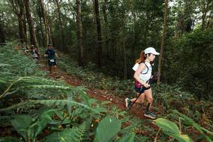 BIB: 
                            <button type="button" onclick="openModal(22534035)" class="btn btn-primary btn-sm float-right btn-popup" data-toggle="modal" data-target=".modal-high-quality">
                        <i class="fas fa-shopping-cart"></i> Add to Cart
                    </button>
                                            <button type="button" onclick="isThisMe(22534035, true)" class="btn btn-success btn-sm float-right btn-popup btn-isme hidden" data-toggle="tooltip" data-placement="bottom" title="นี่คือรูปของคุณใช่ไหม คลิกที่นี่เพื่อเอาเข้าอัลบั้ม">
                        <i class="fas fa-plus"></i> Add to album
                    </button>
                    <button type="button" onclick="isThisMe(22534035, false)" class="btn btn-warning btn-sm float-right btn-popup btn-isnotme hidden">
                        <i class="fas fa-ban"></i> Remove from album
                    </button>