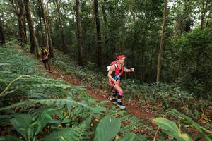 BIB: 
                            <button type="button" onclick="openModal(22534964)" class="btn btn-primary btn-sm float-right btn-popup" data-toggle="modal" data-target=".modal-high-quality">
                        <i class="fas fa-shopping-cart"></i> Add to Cart
                    </button>
                                            <button type="button" onclick="isThisMe(22534964, true)" class="btn btn-success btn-sm float-right btn-popup btn-isme hidden" data-toggle="tooltip" data-placement="bottom" title="นี่คือรูปของคุณใช่ไหม คลิกที่นี่เพื่อเอาเข้าอัลบั้ม">
                        <i class="fas fa-plus"></i> Add to album
                    </button>
                    <button type="button" onclick="isThisMe(22534964, false)" class="btn btn-warning btn-sm float-right btn-popup btn-isnotme hidden">
                        <i class="fas fa-ban"></i> Remove from album
                    </button>