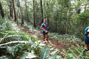 BIB: 
                            <button type="button" onclick="openModal(22564138)" class="btn btn-primary btn-sm float-right btn-popup" data-toggle="modal" data-target=".modal-high-quality">
                        <i class="fas fa-shopping-cart"></i> Add to Cart
                    </button>
                                            <button type="button" onclick="isThisMe(22564138, true)" class="btn btn-success btn-sm float-right btn-popup btn-isme hidden" data-toggle="tooltip" data-placement="bottom" title="นี่คือรูปของคุณใช่ไหม คลิกที่นี่เพื่อเอาเข้าอัลบั้ม">
                        <i class="fas fa-plus"></i> Add to album
                    </button>
                    <button type="button" onclick="isThisMe(22564138, false)" class="btn btn-warning btn-sm float-right btn-popup btn-isnotme hidden">
                        <i class="fas fa-ban"></i> Remove from album
                    </button>