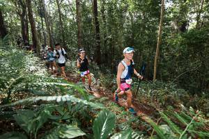 BIB: 91512, 370
                            <button type="button" onclick="openModal(22547251)" class="btn btn-primary btn-sm float-right btn-popup" data-toggle="modal" data-target=".modal-high-quality">
                        <i class="fas fa-shopping-cart"></i> Add to Cart
                    </button>
                                            <button type="button" onclick="isThisMe(22547251, true)" class="btn btn-success btn-sm float-right btn-popup btn-isme hidden" data-toggle="tooltip" data-placement="bottom" title="นี่คือรูปของคุณใช่ไหม คลิกที่นี่เพื่อเอาเข้าอัลบั้ม">
                        <i class="fas fa-plus"></i> Add to album
                    </button>
                    <button type="button" onclick="isThisMe(22547251, false)" class="btn btn-warning btn-sm float-right btn-popup btn-isnotme hidden">
                        <i class="fas fa-ban"></i> Remove from album
                    </button>