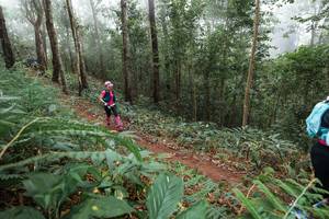 BIB: 
                            <button type="button" onclick="openModal(22572524)" class="btn btn-primary btn-sm float-right btn-popup" data-toggle="modal" data-target=".modal-high-quality">
                        <i class="fas fa-shopping-cart"></i> Add to Cart
                    </button>
                                            <button type="button" onclick="isThisMe(22572524, true)" class="btn btn-success btn-sm float-right btn-popup btn-isme hidden" data-toggle="tooltip" data-placement="bottom" title="นี่คือรูปของคุณใช่ไหม คลิกที่นี่เพื่อเอาเข้าอัลบั้ม">
                        <i class="fas fa-plus"></i> Add to album
                    </button>
                    <button type="button" onclick="isThisMe(22572524, false)" class="btn btn-warning btn-sm float-right btn-popup btn-isnotme hidden">
                        <i class="fas fa-ban"></i> Remove from album
                    </button>