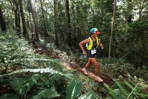 BIB: 
                            <button type="button" onclick="openModal(22547085)" class="btn btn-primary btn-sm float-right btn-popup" data-toggle="modal" data-target=".modal-high-quality">
                        <i class="fas fa-shopping-cart"></i> Add to Cart
                    </button>
                                            <button type="button" onclick="isThisMe(22547085, true)" class="btn btn-success btn-sm float-right btn-popup btn-isme hidden" data-toggle="tooltip" data-placement="bottom" title="นี่คือรูปของคุณใช่ไหม คลิกที่นี่เพื่อเอาเข้าอัลบั้ม">
                        <i class="fas fa-plus"></i> Add to album
                    </button>
                    <button type="button" onclick="isThisMe(22547085, false)" class="btn btn-warning btn-sm float-right btn-popup btn-isnotme hidden">
                        <i class="fas fa-ban"></i> Remove from album
                    </button>