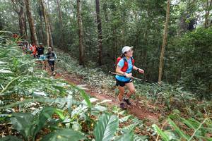 BIB: 
                            <button type="button" onclick="openModal(22583833)" class="btn btn-primary btn-sm float-right btn-popup" data-toggle="modal" data-target=".modal-high-quality">
                        <i class="fas fa-shopping-cart"></i> Add to Cart
                    </button>
                                            <button type="button" onclick="isThisMe(22583833, true)" class="btn btn-success btn-sm float-right btn-popup btn-isme hidden" data-toggle="tooltip" data-placement="bottom" title="นี่คือรูปของคุณใช่ไหม คลิกที่นี่เพื่อเอาเข้าอัลบั้ม">
                        <i class="fas fa-plus"></i> Add to album
                    </button>
                    <button type="button" onclick="isThisMe(22583833, false)" class="btn btn-warning btn-sm float-right btn-popup btn-isnotme hidden">
                        <i class="fas fa-ban"></i> Remove from album
                    </button>