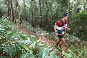 BIB: 
                            <button type="button" onclick="openModal(22583735)" class="btn btn-primary btn-sm float-right btn-popup" data-toggle="modal" data-target=".modal-high-quality">
                        <i class="fas fa-shopping-cart"></i> Add to Cart
                    </button>
                                            <button type="button" onclick="isThisMe(22583735, true)" class="btn btn-success btn-sm float-right btn-popup btn-isme hidden" data-toggle="tooltip" data-placement="bottom" title="นี่คือรูปของคุณใช่ไหม คลิกที่นี่เพื่อเอาเข้าอัลบั้ม">
                        <i class="fas fa-plus"></i> Add to album
                    </button>
                    <button type="button" onclick="isThisMe(22583735, false)" class="btn btn-warning btn-sm float-right btn-popup btn-isnotme hidden">
                        <i class="fas fa-ban"></i> Remove from album
                    </button>