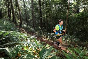 BIB: 
                            <button type="button" onclick="openModal(22544267)" class="btn btn-primary btn-sm float-right btn-popup" data-toggle="modal" data-target=".modal-high-quality">
                        <i class="fas fa-shopping-cart"></i> Add to Cart
                    </button>
                                            <button type="button" onclick="isThisMe(22544267, true)" class="btn btn-success btn-sm float-right btn-popup btn-isme hidden" data-toggle="tooltip" data-placement="bottom" title="นี่คือรูปของคุณใช่ไหม คลิกที่นี่เพื่อเอาเข้าอัลบั้ม">
                        <i class="fas fa-plus"></i> Add to album
                    </button>
                    <button type="button" onclick="isThisMe(22544267, false)" class="btn btn-warning btn-sm float-right btn-popup btn-isnotme hidden">
                        <i class="fas fa-ban"></i> Remove from album
                    </button>