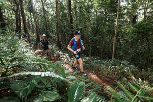 BIB: 
                            <button type="button" onclick="openModal(22547191)" class="btn btn-primary btn-sm float-right btn-popup" data-toggle="modal" data-target=".modal-high-quality">
                        <i class="fas fa-shopping-cart"></i> Add to Cart
                    </button>
                                            <button type="button" onclick="isThisMe(22547191, true)" class="btn btn-success btn-sm float-right btn-popup btn-isme hidden" data-toggle="tooltip" data-placement="bottom" title="นี่คือรูปของคุณใช่ไหม คลิกที่นี่เพื่อเอาเข้าอัลบั้ม">
                        <i class="fas fa-plus"></i> Add to album
                    </button>
                    <button type="button" onclick="isThisMe(22547191, false)" class="btn btn-warning btn-sm float-right btn-popup btn-isnotme hidden">
                        <i class="fas fa-ban"></i> Remove from album
                    </button>