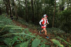 BIB: 
                            <button type="button" onclick="openModal(22536724)" class="btn btn-primary btn-sm float-right btn-popup" data-toggle="modal" data-target=".modal-high-quality">
                        <i class="fas fa-shopping-cart"></i> Add to Cart
                    </button>
                                            <button type="button" onclick="isThisMe(22536724, true)" class="btn btn-success btn-sm float-right btn-popup btn-isme hidden" data-toggle="tooltip" data-placement="bottom" title="นี่คือรูปของคุณใช่ไหม คลิกที่นี่เพื่อเอาเข้าอัลบั้ม">
                        <i class="fas fa-plus"></i> Add to album
                    </button>
                    <button type="button" onclick="isThisMe(22536724, false)" class="btn btn-warning btn-sm float-right btn-popup btn-isnotme hidden">
                        <i class="fas fa-ban"></i> Remove from album
                    </button>