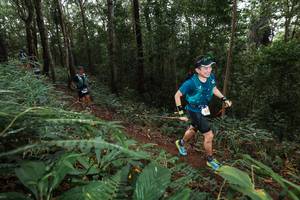 BIB: 
                            <button type="button" onclick="openModal(22542681)" class="btn btn-primary btn-sm float-right btn-popup" data-toggle="modal" data-target=".modal-high-quality">
                        <i class="fas fa-shopping-cart"></i> Add to Cart
                    </button>
                                            <button type="button" onclick="isThisMe(22542681, true)" class="btn btn-success btn-sm float-right btn-popup btn-isme hidden" data-toggle="tooltip" data-placement="bottom" title="นี่คือรูปของคุณใช่ไหม คลิกที่นี่เพื่อเอาเข้าอัลบั้ม">
                        <i class="fas fa-plus"></i> Add to album
                    </button>
                    <button type="button" onclick="isThisMe(22542681, false)" class="btn btn-warning btn-sm float-right btn-popup btn-isnotme hidden">
                        <i class="fas fa-ban"></i> Remove from album
                    </button>