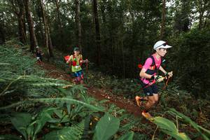 BIB: 
                            <button type="button" onclick="openModal(22533297)" class="btn btn-primary btn-sm float-right btn-popup" data-toggle="modal" data-target=".modal-high-quality">
                        <i class="fas fa-shopping-cart"></i> Add to Cart
                    </button>
                                            <button type="button" onclick="isThisMe(22533297, true)" class="btn btn-success btn-sm float-right btn-popup btn-isme hidden" data-toggle="tooltip" data-placement="bottom" title="นี่คือรูปของคุณใช่ไหม คลิกที่นี่เพื่อเอาเข้าอัลบั้ม">
                        <i class="fas fa-plus"></i> Add to album
                    </button>
                    <button type="button" onclick="isThisMe(22533297, false)" class="btn btn-warning btn-sm float-right btn-popup btn-isnotme hidden">
                        <i class="fas fa-ban"></i> Remove from album
                    </button>