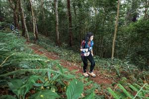 BIB: 
                            <button type="button" onclick="openModal(22583439)" class="btn btn-primary btn-sm float-right btn-popup" data-toggle="modal" data-target=".modal-high-quality">
                        <i class="fas fa-shopping-cart"></i> Add to Cart
                    </button>
                                            <button type="button" onclick="isThisMe(22583439, true)" class="btn btn-success btn-sm float-right btn-popup btn-isme hidden" data-toggle="tooltip" data-placement="bottom" title="นี่คือรูปของคุณใช่ไหม คลิกที่นี่เพื่อเอาเข้าอัลบั้ม">
                        <i class="fas fa-plus"></i> Add to album
                    </button>
                    <button type="button" onclick="isThisMe(22583439, false)" class="btn btn-warning btn-sm float-right btn-popup btn-isnotme hidden">
                        <i class="fas fa-ban"></i> Remove from album
                    </button>