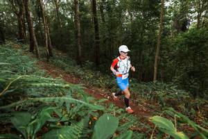 BIB: 
                            <button type="button" onclick="openModal(22533915)" class="btn btn-primary btn-sm float-right btn-popup" data-toggle="modal" data-target=".modal-high-quality">
                        <i class="fas fa-shopping-cart"></i> Add to Cart
                    </button>
                                            <button type="button" onclick="isThisMe(22533915, true)" class="btn btn-success btn-sm float-right btn-popup btn-isme hidden" data-toggle="tooltip" data-placement="bottom" title="นี่คือรูปของคุณใช่ไหม คลิกที่นี่เพื่อเอาเข้าอัลบั้ม">
                        <i class="fas fa-plus"></i> Add to album
                    </button>
                    <button type="button" onclick="isThisMe(22533915, false)" class="btn btn-warning btn-sm float-right btn-popup btn-isnotme hidden">
                        <i class="fas fa-ban"></i> Remove from album
                    </button>