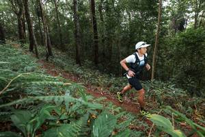 BIB: 
                            <button type="button" onclick="openModal(22542306)" class="btn btn-primary btn-sm float-right btn-popup" data-toggle="modal" data-target=".modal-high-quality">
                        <i class="fas fa-shopping-cart"></i> Add to Cart
                    </button>
                                            <button type="button" onclick="isThisMe(22542306, true)" class="btn btn-success btn-sm float-right btn-popup btn-isme hidden" data-toggle="tooltip" data-placement="bottom" title="นี่คือรูปของคุณใช่ไหม คลิกที่นี่เพื่อเอาเข้าอัลบั้ม">
                        <i class="fas fa-plus"></i> Add to album
                    </button>
                    <button type="button" onclick="isThisMe(22542306, false)" class="btn btn-warning btn-sm float-right btn-popup btn-isnotme hidden">
                        <i class="fas fa-ban"></i> Remove from album
                    </button>