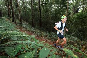 BIB: 
                            <button type="button" onclick="openModal(22532955)" class="btn btn-primary btn-sm float-right btn-popup" data-toggle="modal" data-target=".modal-high-quality">
                        <i class="fas fa-shopping-cart"></i> Add to Cart
                    </button>
                                            <button type="button" onclick="isThisMe(22532955, true)" class="btn btn-success btn-sm float-right btn-popup btn-isme hidden" data-toggle="tooltip" data-placement="bottom" title="นี่คือรูปของคุณใช่ไหม คลิกที่นี่เพื่อเอาเข้าอัลบั้ม">
                        <i class="fas fa-plus"></i> Add to album
                    </button>
                    <button type="button" onclick="isThisMe(22532955, false)" class="btn btn-warning btn-sm float-right btn-popup btn-isnotme hidden">
                        <i class="fas fa-ban"></i> Remove from album
                    </button>