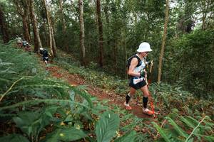 BIB: 
                            <button type="button" onclick="openModal(22570554)" class="btn btn-primary btn-sm float-right btn-popup" data-toggle="modal" data-target=".modal-high-quality">
                        <i class="fas fa-shopping-cart"></i> Add to Cart
                    </button>
                                            <button type="button" onclick="isThisMe(22570554, true)" class="btn btn-success btn-sm float-right btn-popup btn-isme hidden" data-toggle="tooltip" data-placement="bottom" title="นี่คือรูปของคุณใช่ไหม คลิกที่นี่เพื่อเอาเข้าอัลบั้ม">
                        <i class="fas fa-plus"></i> Add to album
                    </button>
                    <button type="button" onclick="isThisMe(22570554, false)" class="btn btn-warning btn-sm float-right btn-popup btn-isnotme hidden">
                        <i class="fas fa-ban"></i> Remove from album
                    </button>