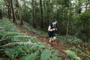 BIB: 
                            <button type="button" onclick="openModal(22541583)" class="btn btn-primary btn-sm float-right btn-popup" data-toggle="modal" data-target=".modal-high-quality">
                        <i class="fas fa-shopping-cart"></i> Add to Cart
                    </button>
                                            <button type="button" onclick="isThisMe(22541583, true)" class="btn btn-success btn-sm float-right btn-popup btn-isme hidden" data-toggle="tooltip" data-placement="bottom" title="นี่คือรูปของคุณใช่ไหม คลิกที่นี่เพื่อเอาเข้าอัลบั้ม">
                        <i class="fas fa-plus"></i> Add to album
                    </button>
                    <button type="button" onclick="isThisMe(22541583, false)" class="btn btn-warning btn-sm float-right btn-popup btn-isnotme hidden">
                        <i class="fas fa-ban"></i> Remove from album
                    </button>