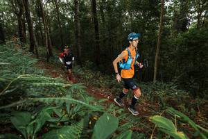 BIB: 
                            <button type="button" onclick="openModal(22533583)" class="btn btn-primary btn-sm float-right btn-popup" data-toggle="modal" data-target=".modal-high-quality">
                        <i class="fas fa-shopping-cart"></i> Add to Cart
                    </button>
                                            <button type="button" onclick="isThisMe(22533583, true)" class="btn btn-success btn-sm float-right btn-popup btn-isme hidden" data-toggle="tooltip" data-placement="bottom" title="นี่คือรูปของคุณใช่ไหม คลิกที่นี่เพื่อเอาเข้าอัลบั้ม">
                        <i class="fas fa-plus"></i> Add to album
                    </button>
                    <button type="button" onclick="isThisMe(22533583, false)" class="btn btn-warning btn-sm float-right btn-popup btn-isnotme hidden">
                        <i class="fas fa-ban"></i> Remove from album
                    </button>