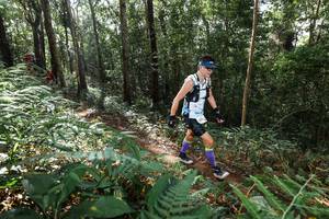 BIB: 
                            <button type="button" onclick="openModal(22546389)" class="btn btn-primary btn-sm float-right btn-popup" data-toggle="modal" data-target=".modal-high-quality">
                        <i class="fas fa-shopping-cart"></i> Add to Cart
                    </button>
                                            <button type="button" onclick="isThisMe(22546389, true)" class="btn btn-success btn-sm float-right btn-popup btn-isme hidden" data-toggle="tooltip" data-placement="bottom" title="นี่คือรูปของคุณใช่ไหม คลิกที่นี่เพื่อเอาเข้าอัลบั้ม">
                        <i class="fas fa-plus"></i> Add to album
                    </button>
                    <button type="button" onclick="isThisMe(22546389, false)" class="btn btn-warning btn-sm float-right btn-popup btn-isnotme hidden">
                        <i class="fas fa-ban"></i> Remove from album
                    </button>