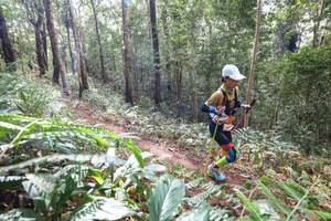 BIB: 
                            <button type="button" onclick="openModal(22565989)" class="btn btn-primary btn-sm float-right btn-popup" data-toggle="modal" data-target=".modal-high-quality">
                        <i class="fas fa-shopping-cart"></i> Add to Cart
                    </button>
                                            <button type="button" onclick="isThisMe(22565989, true)" class="btn btn-success btn-sm float-right btn-popup btn-isme hidden" data-toggle="tooltip" data-placement="bottom" title="นี่คือรูปของคุณใช่ไหม คลิกที่นี่เพื่อเอาเข้าอัลบั้ม">
                        <i class="fas fa-plus"></i> Add to album
                    </button>
                    <button type="button" onclick="isThisMe(22565989, false)" class="btn btn-warning btn-sm float-right btn-popup btn-isnotme hidden">
                        <i class="fas fa-ban"></i> Remove from album
                    </button>