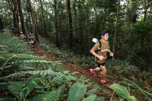 BIB: 
                            <button type="button" onclick="openModal(22537137)" class="btn btn-primary btn-sm float-right btn-popup" data-toggle="modal" data-target=".modal-high-quality">
                        <i class="fas fa-shopping-cart"></i> Add to Cart
                    </button>
                                            <button type="button" onclick="isThisMe(22537137, true)" class="btn btn-success btn-sm float-right btn-popup btn-isme hidden" data-toggle="tooltip" data-placement="bottom" title="นี่คือรูปของคุณใช่ไหม คลิกที่นี่เพื่อเอาเข้าอัลบั้ม">
                        <i class="fas fa-plus"></i> Add to album
                    </button>
                    <button type="button" onclick="isThisMe(22537137, false)" class="btn btn-warning btn-sm float-right btn-popup btn-isnotme hidden">
                        <i class="fas fa-ban"></i> Remove from album
                    </button>