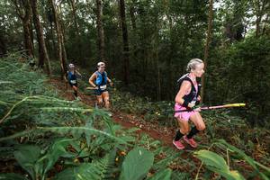 BIB: 
                            <button type="button" onclick="openModal(22534444)" class="btn btn-primary btn-sm float-right btn-popup" data-toggle="modal" data-target=".modal-high-quality">
                        <i class="fas fa-shopping-cart"></i> Add to Cart
                    </button>
                                            <button type="button" onclick="isThisMe(22534444, true)" class="btn btn-success btn-sm float-right btn-popup btn-isme hidden" data-toggle="tooltip" data-placement="bottom" title="นี่คือรูปของคุณใช่ไหม คลิกที่นี่เพื่อเอาเข้าอัลบั้ม">
                        <i class="fas fa-plus"></i> Add to album
                    </button>
                    <button type="button" onclick="isThisMe(22534444, false)" class="btn btn-warning btn-sm float-right btn-popup btn-isnotme hidden">
                        <i class="fas fa-ban"></i> Remove from album
                    </button>