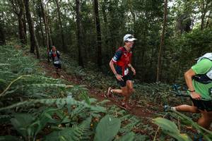 BIB: 
                            <button type="button" onclick="openModal(22541525)" class="btn btn-primary btn-sm float-right btn-popup" data-toggle="modal" data-target=".modal-high-quality">
                        <i class="fas fa-shopping-cart"></i> Add to Cart
                    </button>
                                            <button type="button" onclick="isThisMe(22541525, true)" class="btn btn-success btn-sm float-right btn-popup btn-isme hidden" data-toggle="tooltip" data-placement="bottom" title="นี่คือรูปของคุณใช่ไหม คลิกที่นี่เพื่อเอาเข้าอัลบั้ม">
                        <i class="fas fa-plus"></i> Add to album
                    </button>
                    <button type="button" onclick="isThisMe(22541525, false)" class="btn btn-warning btn-sm float-right btn-popup btn-isnotme hidden">
                        <i class="fas fa-ban"></i> Remove from album
                    </button>