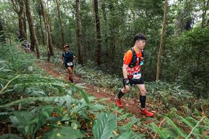 BIB: 
                            <button type="button" onclick="openModal(22584273)" class="btn btn-primary btn-sm float-right btn-popup" data-toggle="modal" data-target=".modal-high-quality">
                        <i class="fas fa-shopping-cart"></i> Add to Cart
                    </button>
                                            <button type="button" onclick="isThisMe(22584273, true)" class="btn btn-success btn-sm float-right btn-popup btn-isme hidden" data-toggle="tooltip" data-placement="bottom" title="นี่คือรูปของคุณใช่ไหม คลิกที่นี่เพื่อเอาเข้าอัลบั้ม">
                        <i class="fas fa-plus"></i> Add to album
                    </button>
                    <button type="button" onclick="isThisMe(22584273, false)" class="btn btn-warning btn-sm float-right btn-popup btn-isnotme hidden">
                        <i class="fas fa-ban"></i> Remove from album
                    </button>