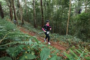 BIB: 
                            <button type="button" onclick="openModal(22579920)" class="btn btn-primary btn-sm float-right btn-popup" data-toggle="modal" data-target=".modal-high-quality">
                        <i class="fas fa-shopping-cart"></i> Add to Cart
                    </button>
                                            <button type="button" onclick="isThisMe(22579920, true)" class="btn btn-success btn-sm float-right btn-popup btn-isme hidden" data-toggle="tooltip" data-placement="bottom" title="นี่คือรูปของคุณใช่ไหม คลิกที่นี่เพื่อเอาเข้าอัลบั้ม">
                        <i class="fas fa-plus"></i> Add to album
                    </button>
                    <button type="button" onclick="isThisMe(22579920, false)" class="btn btn-warning btn-sm float-right btn-popup btn-isnotme hidden">
                        <i class="fas fa-ban"></i> Remove from album
                    </button>