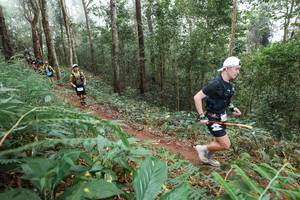 BIB: 
                            <button type="button" onclick="openModal(22573659)" class="btn btn-primary btn-sm float-right btn-popup" data-toggle="modal" data-target=".modal-high-quality">
                        <i class="fas fa-shopping-cart"></i> Add to Cart
                    </button>
                                            <button type="button" onclick="isThisMe(22573659, true)" class="btn btn-success btn-sm float-right btn-popup btn-isme hidden" data-toggle="tooltip" data-placement="bottom" title="นี่คือรูปของคุณใช่ไหม คลิกที่นี่เพื่อเอาเข้าอัลบั้ม">
                        <i class="fas fa-plus"></i> Add to album
                    </button>
                    <button type="button" onclick="isThisMe(22573659, false)" class="btn btn-warning btn-sm float-right btn-popup btn-isnotme hidden">
                        <i class="fas fa-ban"></i> Remove from album
                    </button>