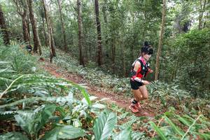 BIB: 
                            <button type="button" onclick="openModal(22581795)" class="btn btn-primary btn-sm float-right btn-popup" data-toggle="modal" data-target=".modal-high-quality">
                        <i class="fas fa-shopping-cart"></i> Add to Cart
                    </button>
                                            <button type="button" onclick="isThisMe(22581795, true)" class="btn btn-success btn-sm float-right btn-popup btn-isme hidden" data-toggle="tooltip" data-placement="bottom" title="นี่คือรูปของคุณใช่ไหม คลิกที่นี่เพื่อเอาเข้าอัลบั้ม">
                        <i class="fas fa-plus"></i> Add to album
                    </button>
                    <button type="button" onclick="isThisMe(22581795, false)" class="btn btn-warning btn-sm float-right btn-popup btn-isnotme hidden">
                        <i class="fas fa-ban"></i> Remove from album
                    </button>