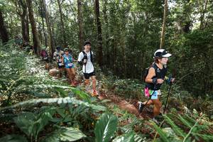 BIB: 
                            <button type="button" onclick="openModal(22547283)" class="btn btn-primary btn-sm float-right btn-popup" data-toggle="modal" data-target=".modal-high-quality">
                        <i class="fas fa-shopping-cart"></i> Add to Cart
                    </button>
                                            <button type="button" onclick="isThisMe(22547283, true)" class="btn btn-success btn-sm float-right btn-popup btn-isme hidden" data-toggle="tooltip" data-placement="bottom" title="นี่คือรูปของคุณใช่ไหม คลิกที่นี่เพื่อเอาเข้าอัลบั้ม">
                        <i class="fas fa-plus"></i> Add to album
                    </button>
                    <button type="button" onclick="isThisMe(22547283, false)" class="btn btn-warning btn-sm float-right btn-popup btn-isnotme hidden">
                        <i class="fas fa-ban"></i> Remove from album
                    </button>