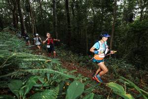 BIB: 
                            <button type="button" onclick="openModal(22538070)" class="btn btn-primary btn-sm float-right btn-popup" data-toggle="modal" data-target=".modal-high-quality">
                        <i class="fas fa-shopping-cart"></i> Add to Cart
                    </button>
                                            <button type="button" onclick="isThisMe(22538070, true)" class="btn btn-success btn-sm float-right btn-popup btn-isme hidden" data-toggle="tooltip" data-placement="bottom" title="นี่คือรูปของคุณใช่ไหม คลิกที่นี่เพื่อเอาเข้าอัลบั้ม">
                        <i class="fas fa-plus"></i> Add to album
                    </button>
                    <button type="button" onclick="isThisMe(22538070, false)" class="btn btn-warning btn-sm float-right btn-popup btn-isnotme hidden">
                        <i class="fas fa-ban"></i> Remove from album
                    </button>