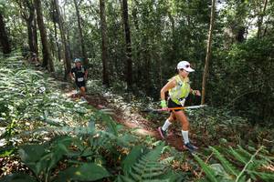 BIB: 
                            <button type="button" onclick="openModal(22546509)" class="btn btn-primary btn-sm float-right btn-popup" data-toggle="modal" data-target=".modal-high-quality">
                        <i class="fas fa-shopping-cart"></i> Add to Cart
                    </button>
                                            <button type="button" onclick="isThisMe(22546509, true)" class="btn btn-success btn-sm float-right btn-popup btn-isme hidden" data-toggle="tooltip" data-placement="bottom" title="นี่คือรูปของคุณใช่ไหม คลิกที่นี่เพื่อเอาเข้าอัลบั้ม">
                        <i class="fas fa-plus"></i> Add to album
                    </button>
                    <button type="button" onclick="isThisMe(22546509, false)" class="btn btn-warning btn-sm float-right btn-popup btn-isnotme hidden">
                        <i class="fas fa-ban"></i> Remove from album
                    </button>