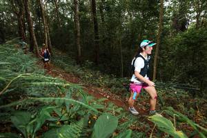 BIB: 
                            <button type="button" onclick="openModal(22533870)" class="btn btn-primary btn-sm float-right btn-popup" data-toggle="modal" data-target=".modal-high-quality">
                        <i class="fas fa-shopping-cart"></i> Add to Cart
                    </button>
                                            <button type="button" onclick="isThisMe(22533870, true)" class="btn btn-success btn-sm float-right btn-popup btn-isme hidden" data-toggle="tooltip" data-placement="bottom" title="นี่คือรูปของคุณใช่ไหม คลิกที่นี่เพื่อเอาเข้าอัลบั้ม">
                        <i class="fas fa-plus"></i> Add to album
                    </button>
                    <button type="button" onclick="isThisMe(22533870, false)" class="btn btn-warning btn-sm float-right btn-popup btn-isnotme hidden">
                        <i class="fas fa-ban"></i> Remove from album
                    </button>