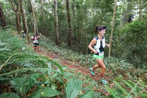 BIB: 
                            <button type="button" onclick="openModal(22580441)" class="btn btn-primary btn-sm float-right btn-popup" data-toggle="modal" data-target=".modal-high-quality">
                        <i class="fas fa-shopping-cart"></i> Add to Cart
                    </button>
                                            <button type="button" onclick="isThisMe(22580441, true)" class="btn btn-success btn-sm float-right btn-popup btn-isme hidden" data-toggle="tooltip" data-placement="bottom" title="นี่คือรูปของคุณใช่ไหม คลิกที่นี่เพื่อเอาเข้าอัลบั้ม">
                        <i class="fas fa-plus"></i> Add to album
                    </button>
                    <button type="button" onclick="isThisMe(22580441, false)" class="btn btn-warning btn-sm float-right btn-popup btn-isnotme hidden">
                        <i class="fas fa-ban"></i> Remove from album
                    </button>