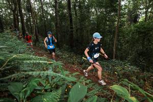 BIB: 
                            <button type="button" onclick="openModal(22536263)" class="btn btn-primary btn-sm float-right btn-popup" data-toggle="modal" data-target=".modal-high-quality">
                        <i class="fas fa-shopping-cart"></i> Add to Cart
                    </button>
                                            <button type="button" onclick="isThisMe(22536263, true)" class="btn btn-success btn-sm float-right btn-popup btn-isme hidden" data-toggle="tooltip" data-placement="bottom" title="นี่คือรูปของคุณใช่ไหม คลิกที่นี่เพื่อเอาเข้าอัลบั้ม">
                        <i class="fas fa-plus"></i> Add to album
                    </button>
                    <button type="button" onclick="isThisMe(22536263, false)" class="btn btn-warning btn-sm float-right btn-popup btn-isnotme hidden">
                        <i class="fas fa-ban"></i> Remove from album
                    </button>