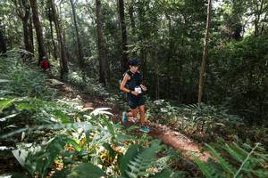 BIB: 
                            <button type="button" onclick="openModal(22544559)" class="btn btn-primary btn-sm float-right btn-popup" data-toggle="modal" data-target=".modal-high-quality">
                        <i class="fas fa-shopping-cart"></i> Add to Cart
                    </button>
                                            <button type="button" onclick="isThisMe(22544559, true)" class="btn btn-success btn-sm float-right btn-popup btn-isme hidden" data-toggle="tooltip" data-placement="bottom" title="นี่คือรูปของคุณใช่ไหม คลิกที่นี่เพื่อเอาเข้าอัลบั้ม">
                        <i class="fas fa-plus"></i> Add to album
                    </button>
                    <button type="button" onclick="isThisMe(22544559, false)" class="btn btn-warning btn-sm float-right btn-popup btn-isnotme hidden">
                        <i class="fas fa-ban"></i> Remove from album
                    </button>