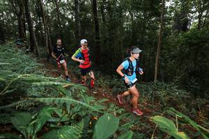 BIB: 
                            <button type="button" onclick="openModal(22537853)" class="btn btn-primary btn-sm float-right btn-popup" data-toggle="modal" data-target=".modal-high-quality">
                        <i class="fas fa-shopping-cart"></i> Add to Cart
                    </button>
                                            <button type="button" onclick="isThisMe(22537853, true)" class="btn btn-success btn-sm float-right btn-popup btn-isme hidden" data-toggle="tooltip" data-placement="bottom" title="นี่คือรูปของคุณใช่ไหม คลิกที่นี่เพื่อเอาเข้าอัลบั้ม">
                        <i class="fas fa-plus"></i> Add to album
                    </button>
                    <button type="button" onclick="isThisMe(22537853, false)" class="btn btn-warning btn-sm float-right btn-popup btn-isnotme hidden">
                        <i class="fas fa-ban"></i> Remove from album
                    </button>